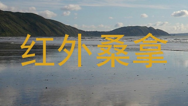 红外桑拿