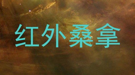 红外桑拿