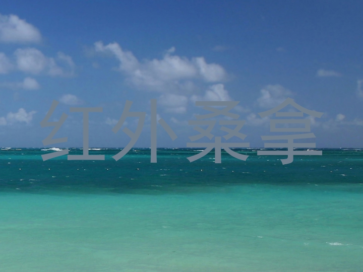 红外桑拿