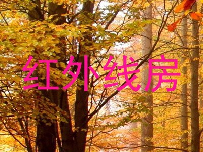 红外线房
