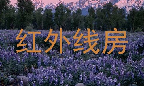红外线房