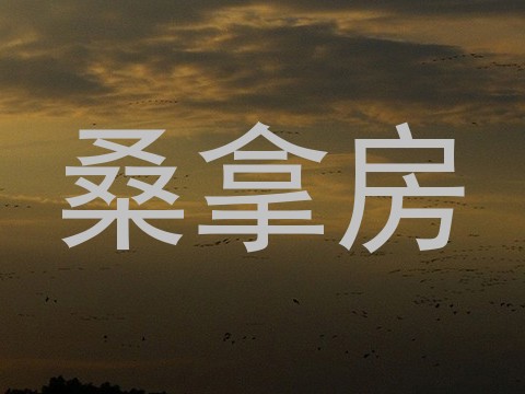 桑拿房
