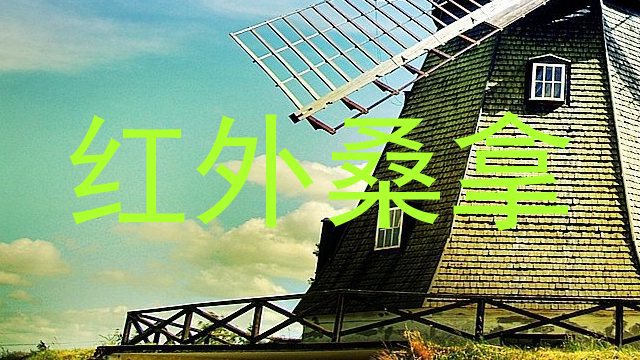 红外桑拿