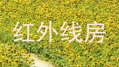 红外线房