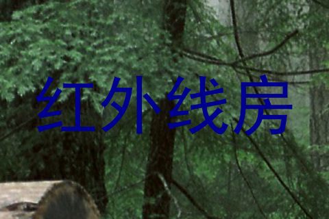 红外线房