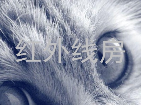 红外线房