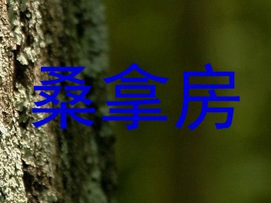 桑拿房
