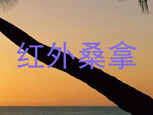 红外桑拿