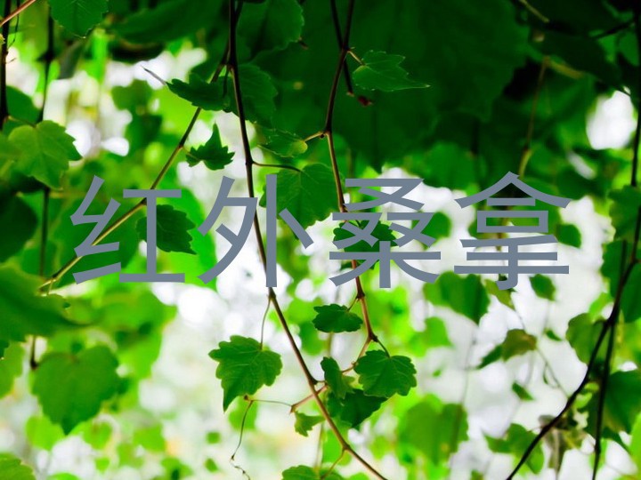 红外桑拿