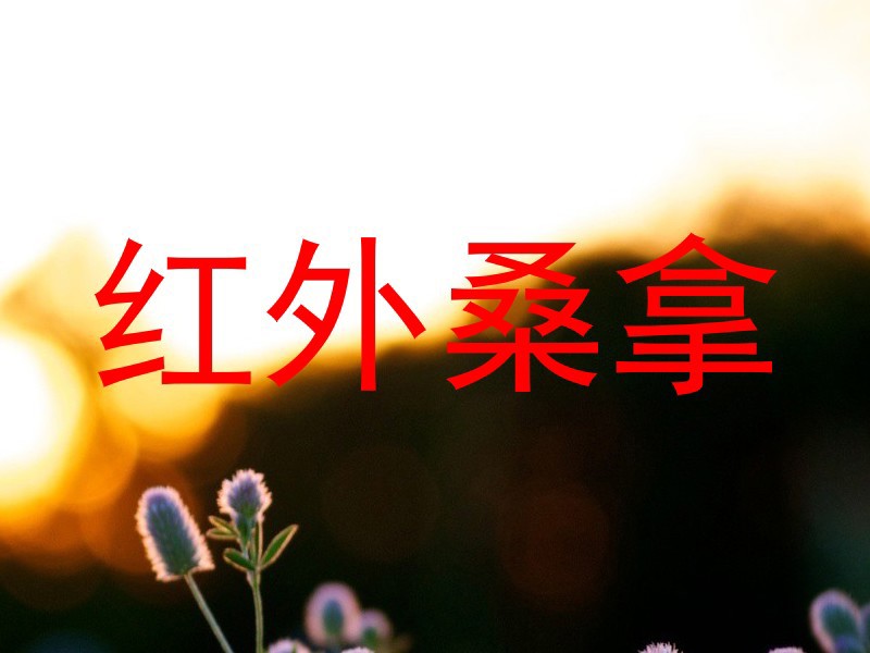 红外桑拿