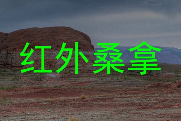 红外桑拿