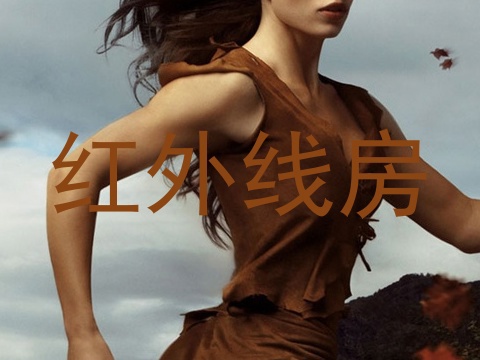 红外线房