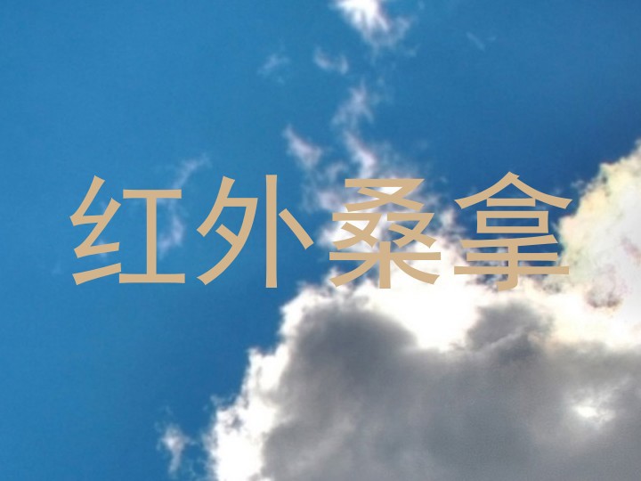 红外桑拿