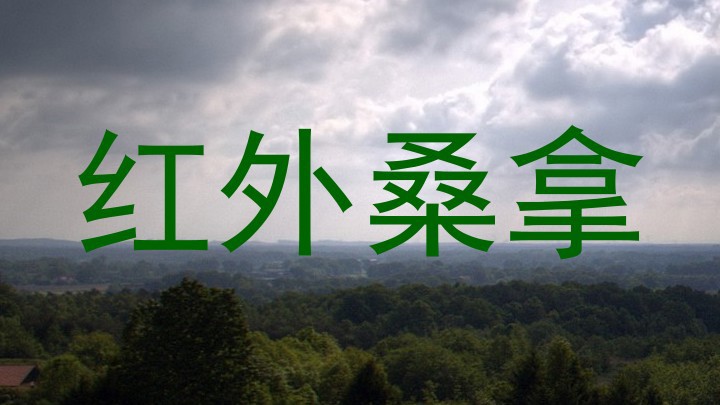 红外桑拿