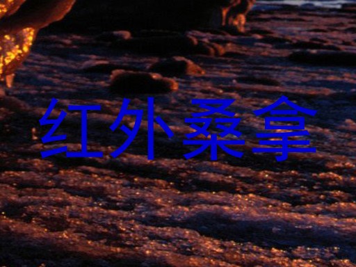 红外桑拿