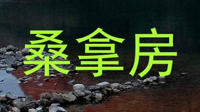 桑拿房