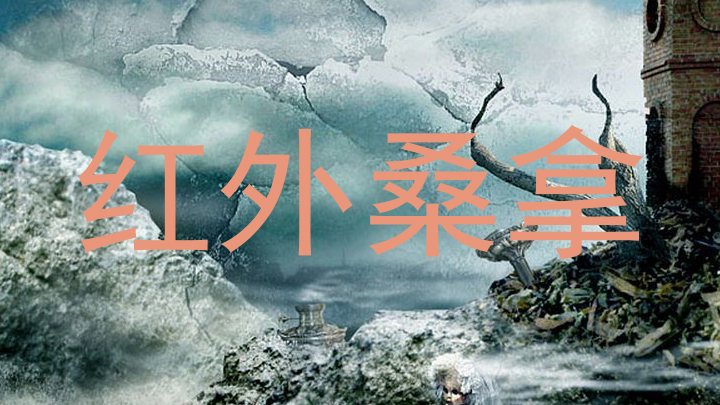 红外桑拿
