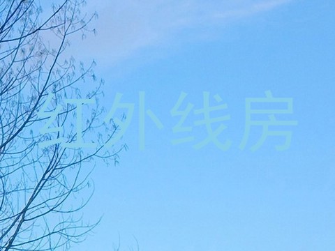 红外线房