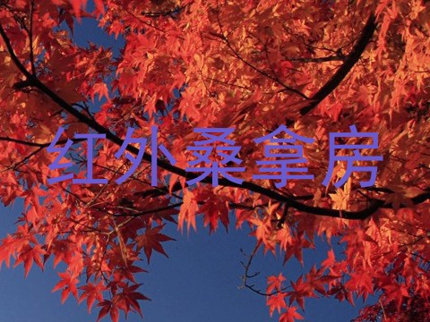 红外桑拿房