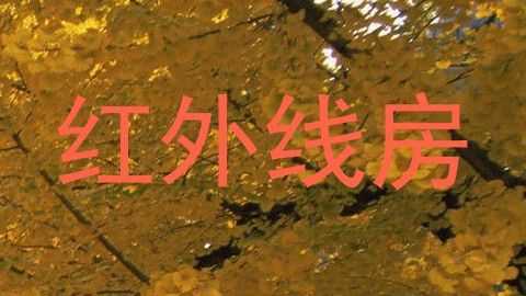 红外线房