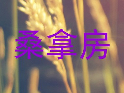 桑拿房