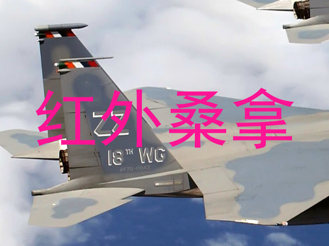 红外桑拿
