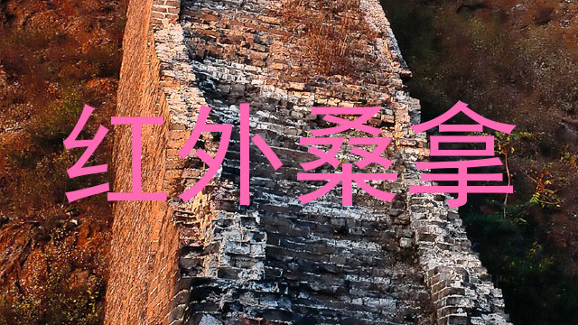 红外桑拿