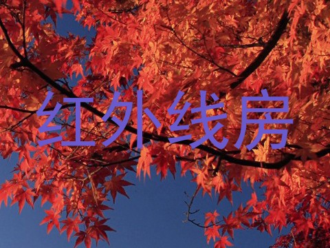红外线房