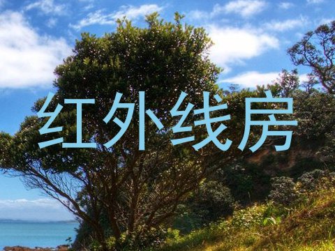 红外线房