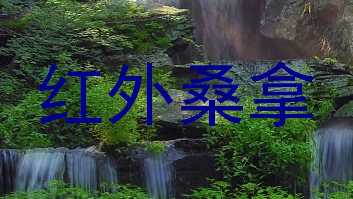 红外桑拿