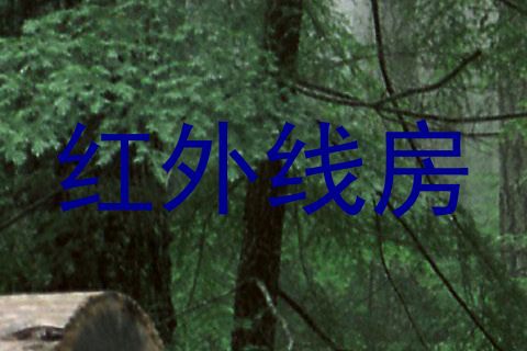 红外线房