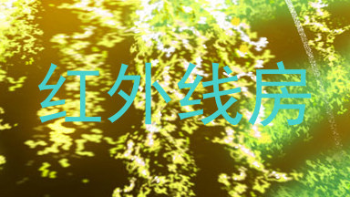 红外线房