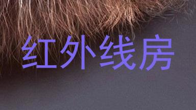 红外线房