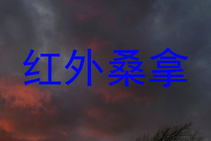 红外桑拿