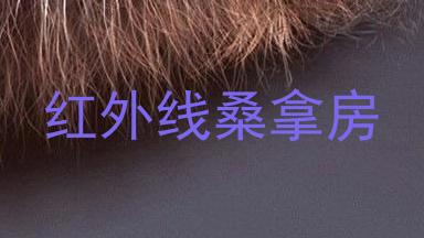 红外线桑拿房