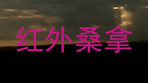 红外桑拿