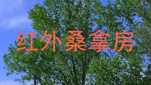 红外桑拿房
