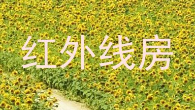 红外线房