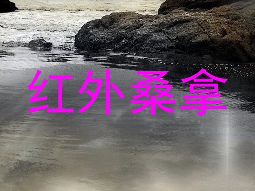 红外桑拿