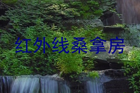 红外线桑拿房