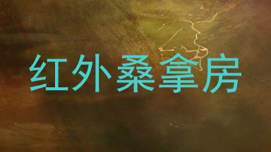 红外桑拿房