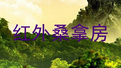 红外桑拿房