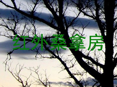 红外桑拿房