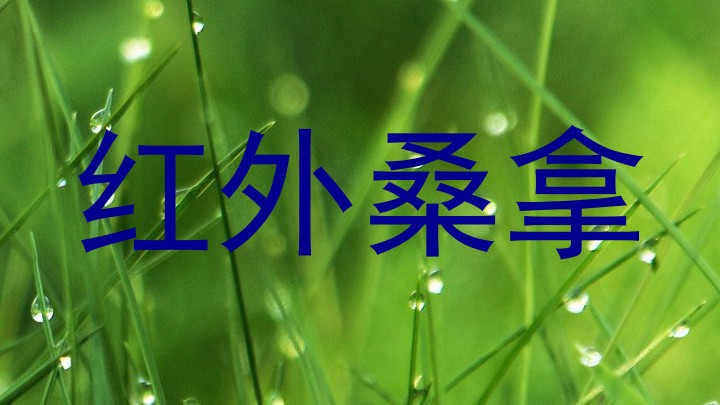 红外桑拿