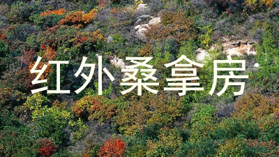 红外桑拿房