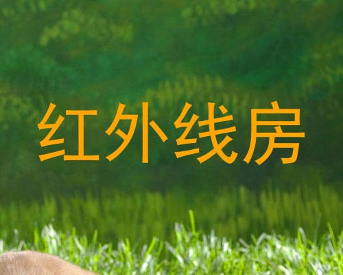红外线房