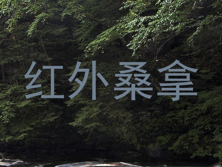 红外桑拿
