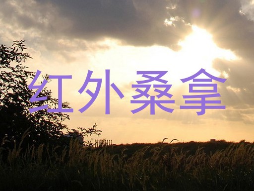 红外桑拿