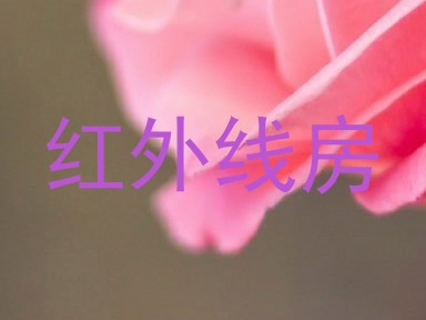 红外线房