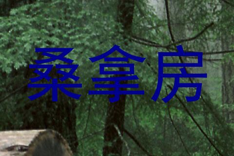 桑拿房